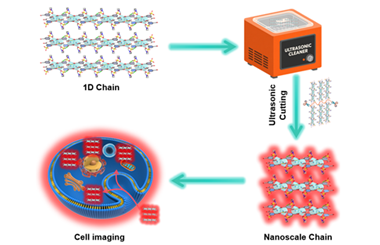Ultrasonic cutting strategy yields lanthanide organic nanochains with bright emission: thermally enhanced luminescence and bio-optical imaging 2025.100761
